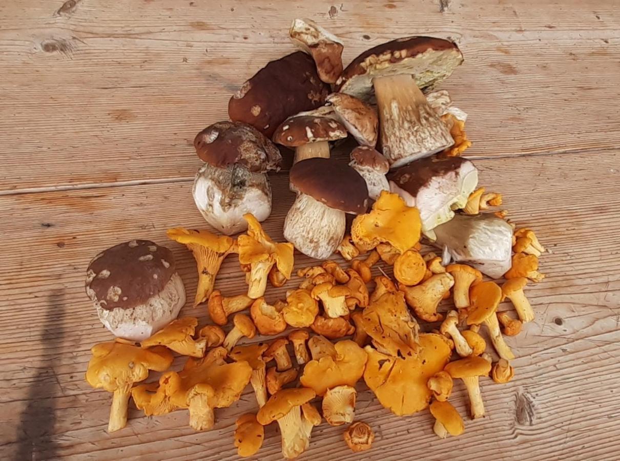 Fewo Niederndorferberg Zewnętrze zdjęcie
