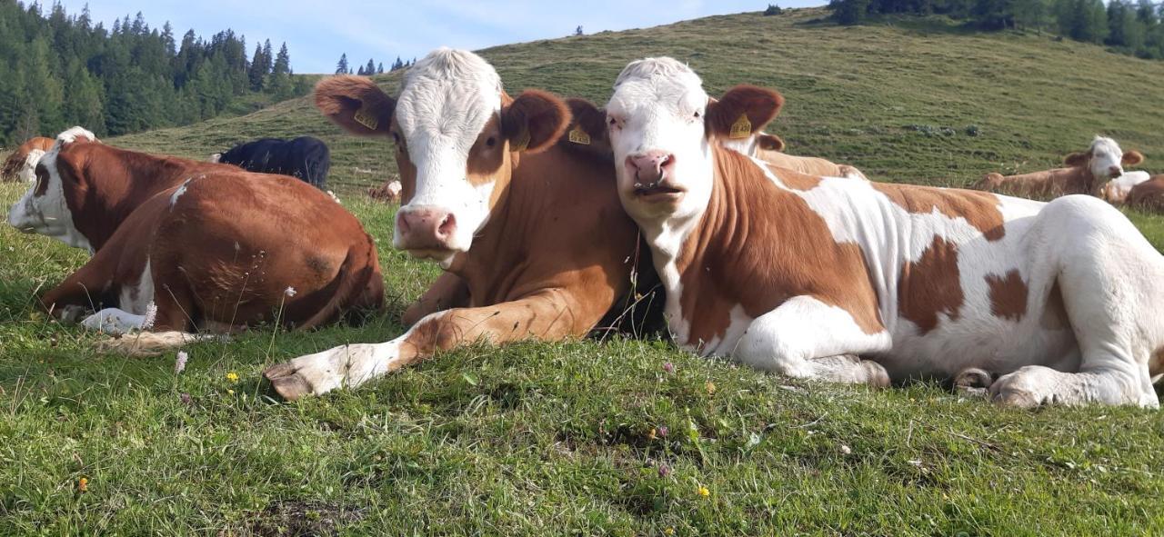 Fewo Niederndorferberg Zewnętrze zdjęcie