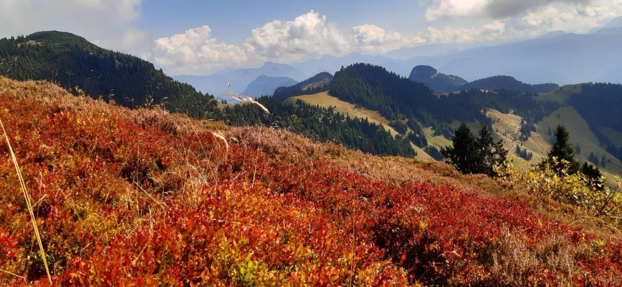 Fewo Niederndorferberg Zewnętrze zdjęcie